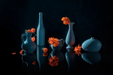 Orange blommor, blå vaser