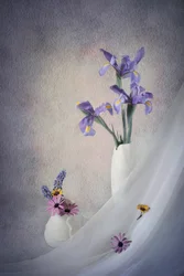 Stilleben med lila iris