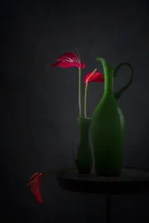 Röda anthurium, gröna vaser
