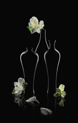 Vita blommor, mörka vaser