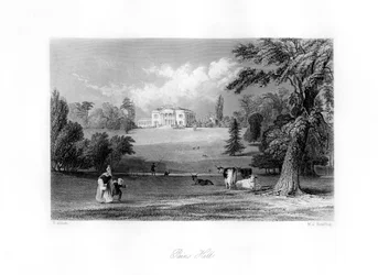 Pains Hill, Surrey, 1800-talet.