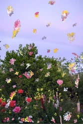 Abstraherade blommor, 2019 (akrylfärg på arkivbeständigt pigmenttryck)