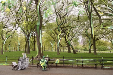Central Park, 2019 (akrylfärg på arkivbeständigt pigmenttryck)