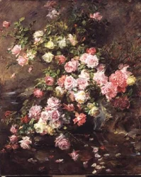Rosor