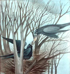 Two Rooks Mata i ett träd (penna och akvarell på papper)
