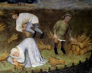 Veteskörd, detalj från månaden augusti månadscykel