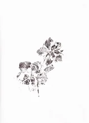 Abstrakta blomtryck