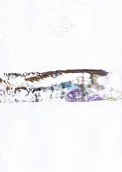Sammanfattning: Horizon Blend