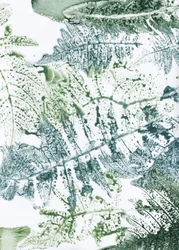 Botaniska intryck av ormbunkar