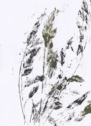 Botaniskt gräsmönster