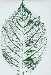 Detaljerat mönster med gröna blad