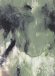 Fluid Green – abstrakt