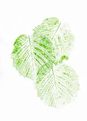 Tryck med färska gröna blad