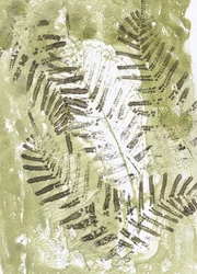 Intryck från Green Fern