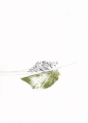 Gröna blad och kala grenar
