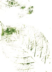 Mönster med gröna blad