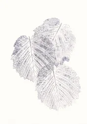 Minimalistiska bladtexturer