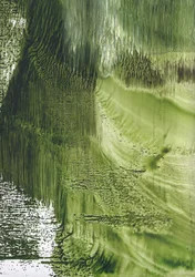 Organic Green Flow
