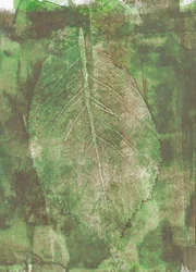 Organiskt bladavtryck