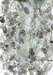 Organiska bladavtryck