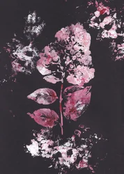 Rosa botanisk impression