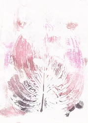 Rosa botaniskt blad