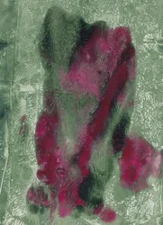 Levande magenta och grönt – abstrakt