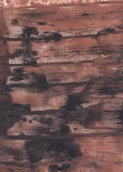 Väderbitet abstrakt trä