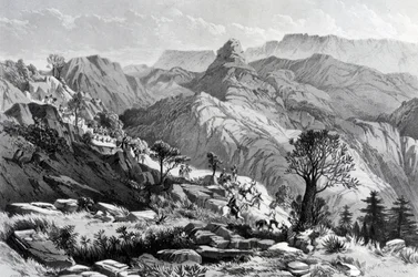 På marschen nära Dongolo, graverad av James Ferguson, 1868