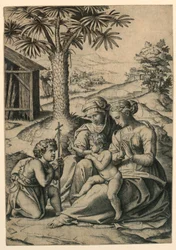 Madonna från palmen