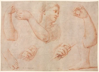 Studie av en ung kvinna som spelar en tamburin och studier av en arm, händer och fötter (Studier för "Miriam Leading the Chorus of Women Who Give Thanks for the Routing of Pharoah"