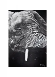 Porträtt av en majestätisk elefant