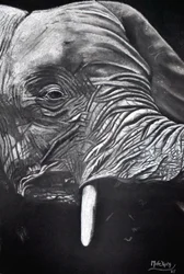 Porträtt av en majestätisk elefant