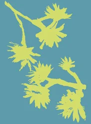 Succulent_2, 2022 (tusch på papper)