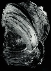 Wagner_148, 2022 (monotyp)
