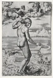 Venus födelse
