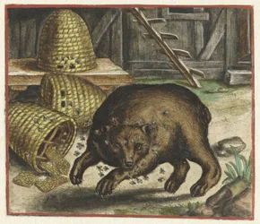 Fabel om björnen och bina