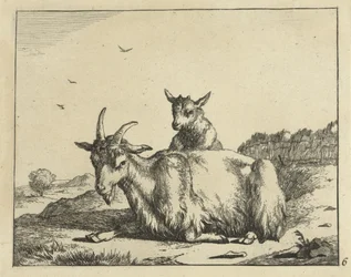 Liggande get med lamm Goats and Bucks (serietitel)