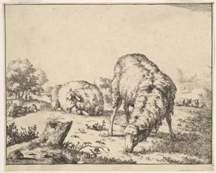 Får, från en uppsättning av 16 tallrikar, 1664.