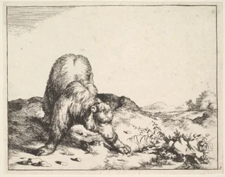 från The Set of The Bears, ca. 1664.