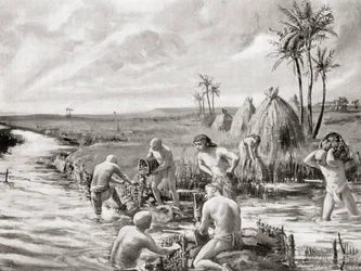 Tidiga bosättare i Babylonien dränerade träsken genom att bygga en damm, från Hutchinsons History of the Nations, pub.1915
