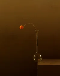 Minimalistisk apelsinblomma