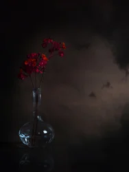 Stämningsfulla röda blommor