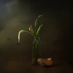 Vissna liljor och melon