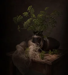 Mörkt botaniskt stilleben