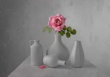 Stilleben med en ömtålig rosa ros
