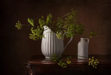 Stilleben med dillblommor