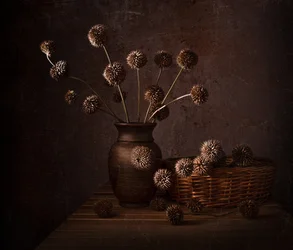 Jordnära torkade blommor