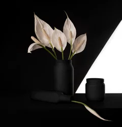 Elegant kontrast med fredslilja