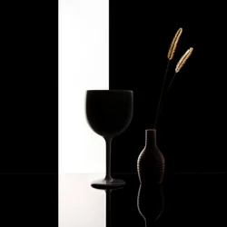 Minimalistiskt svartvitt stilleben